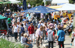 et la bière coule à flot sous les parasols